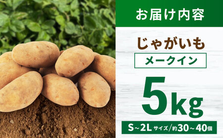 じゃがいも メークイン 5kg (S?2Lサイズ/約30?40個) / じゃがいも ジャガイモ ポテト 九州 メークイン メイクイーン 野菜 やさい / 諫早市 / スマイルファーム　[AHFG003]