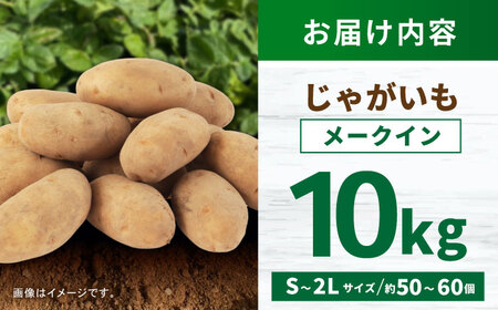 じゃがいも メークイン 10kg (S?2Lサイズ/約50?60個) / じゃがいも ジャガイモ ポテト 九州 メークイン メイクイーン 野菜 やさい / 諫早市 / スマイルファーム　[AHFG004]