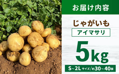 じゃがいも アイマサリ 5kg (S?2Lサイズ/約30?40個) / じゃがいも ジャガイモ ポテト 九州 あいまさり アイマサリ 野菜 やさい / 諫早市 / スマイルファーム　[AHFG005]