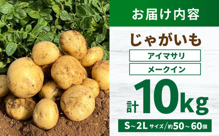 春ジャガ味くらべセット（アイマサリ・メークイン）/ じゃがいも ジャガイモ ポテト 九州 あいまさり アイマサリ メークイン メイクイーン 野菜 やさい / 諫早市 / スマイルファーム[AHFG012]