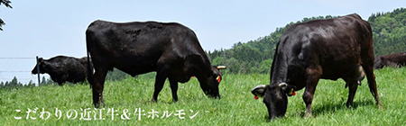 【一週間以内発送】近江牛 味付け ホルモン 秘伝のタレ漬け 近江牛 ミノ 900g ( 300g × 3 ) 【FO77W】 近江牛 牛肉 焼肉 BBQ