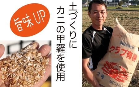 コシヒカリ 伊賀米コシヒカリ特別栽培米「真米」白米10kg×3回お届け定期便【ymnk-tkb0002】