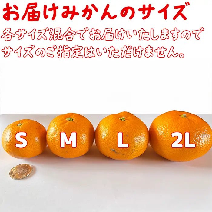 温州みかん (訳あり 家庭用) 屋根掛けハウス栽培 5kg＋傷み補償分200g (宮川早生と興津早生の混合)【土山農園】 先行予約 柑橘類 フルーツ 12月 1月 期間限定 果物 九州 ＜050-001＞