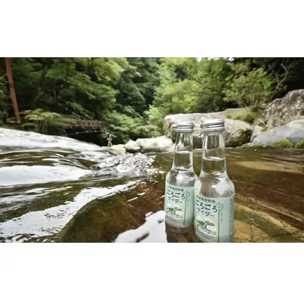 ごろごろサイダー 250ml×1箱（24本入） サイダー 【ftu01】