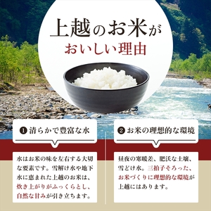 【9月上旬配送】上越市産 新潟 新之助 2kg しんのすけ お米 精米 米 ご飯 大黒屋商店