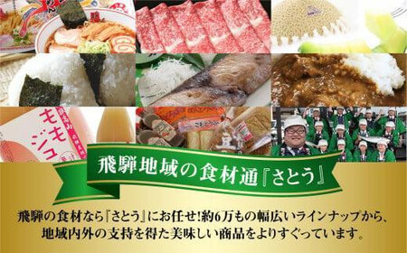 飛騨高山ラーメン 朝市らーめん 緑 6食 ( 2食入× 3袋 ) ストレートスープ 具材付き 醤油ラーメン (株)ファミリーストアさとう CY012VC13