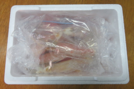 【北海道根室産】生冷凍たらばがに棒ポーション250g・花咲がに600g×1尾セット B-59020