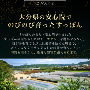 すっぽん鍋セット濃いめ国産すっぽん鍋セット
