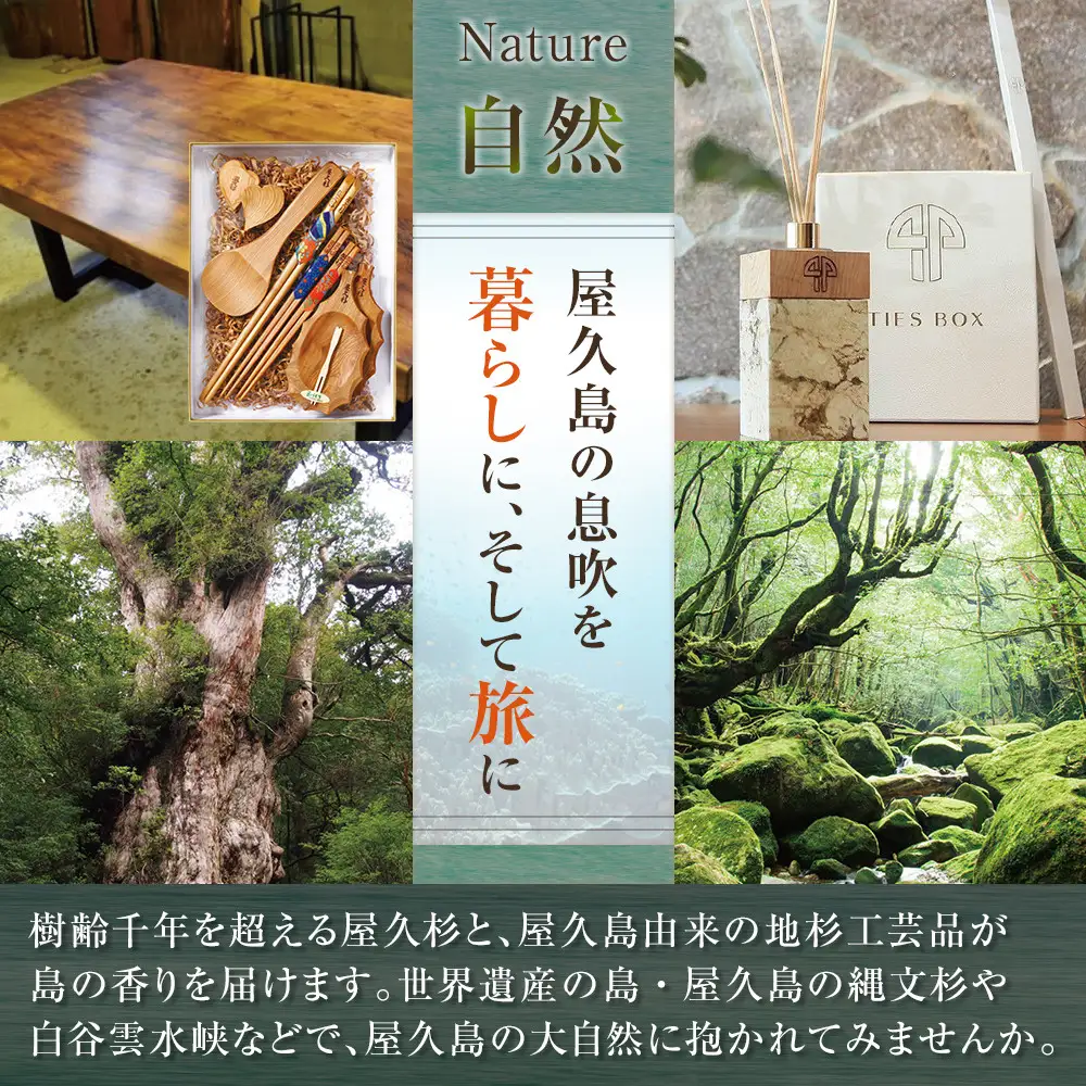 屋久島限定三岳900ml×12本セット