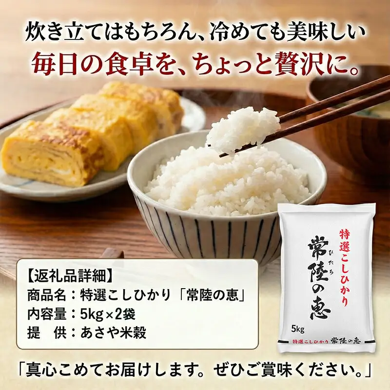 【令和７年産】特選こしひかり　「常陸の恵」１０kg 【 お米 五ツ星 お米マイスター HACCP 取得 低温精米 高品質 ご飯 美味しい米 ブランド米 特産物 あさや米穀 茨城県 日立市 】