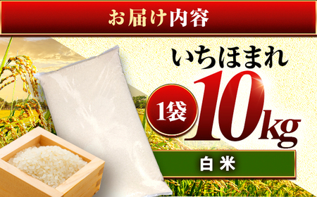 お米 福井県産 いちほまれ 白米 米 10kg 小浜市 / 梅田東米穀店[BFEK019]