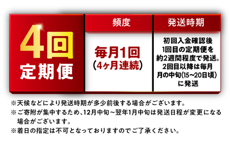 【4回定期便】お米 福井県産いちほまれ お米 10kg 小浜市 梅田東米穀店[BFEK034]