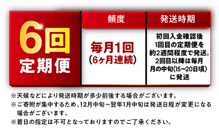 【6回定期便】お米 福井県産いちほまれ お米 10kg 小浜市 梅田東米穀店[BFEK036]