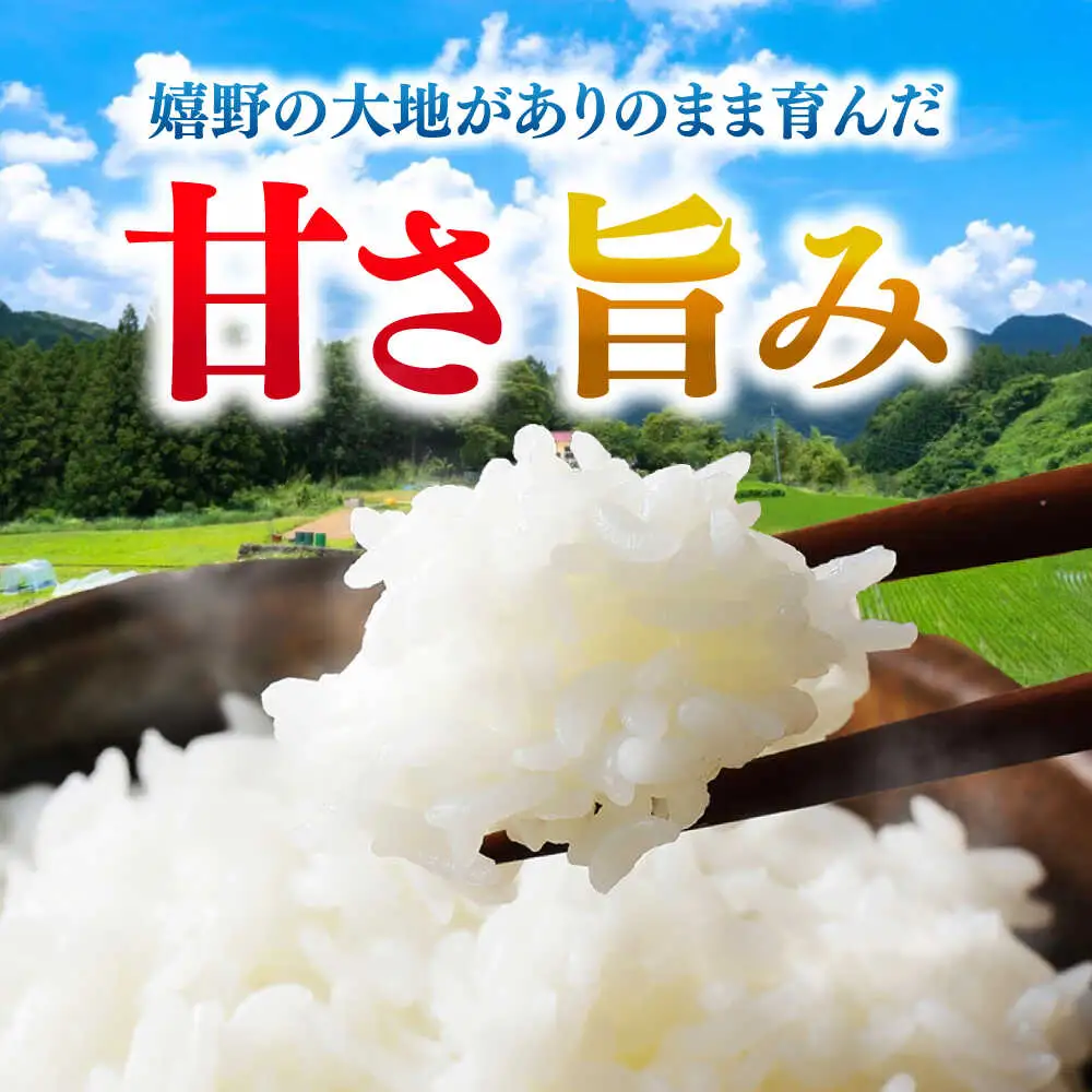 白米 夢しずく 5kg NCK003 白米