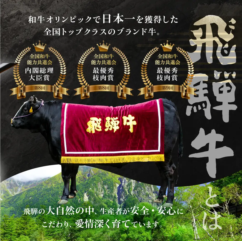 【年末お届け】飛騨牛 A5等級 ロース 500g すき焼き ｜年末お届け すき焼き 年末お届け  JQ018VC12