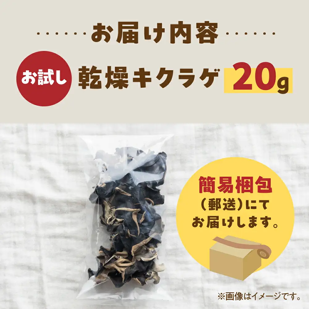 【お試し】乾燥 キクラゲ 約 20g メール便 サイズ 混合 不揃い おまかせ 簡易梱包 訳あり 訳アリ 料理 野菜 栽培期間中 農薬不使用 岐阜県産 本巣市 国産 きのこ キノコ きくらげ 産地直送 新鮮 数量限定 モトスマッシュ [mt1918] 4000円 4千円