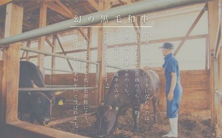 数量限定 隠岐牛 牛すじボイル 400g×2パック 牛すじ