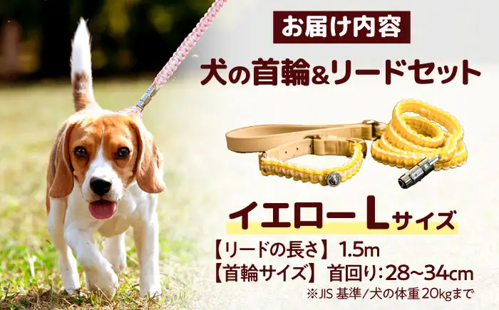 ペット 犬の首輪＆リードセット イエロー L ペット BLBX011