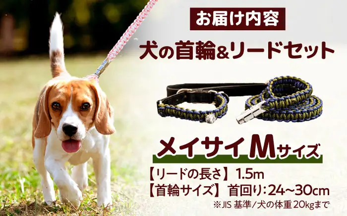 ペット 犬の首輪＆リードセット メイサイ M ペット BLBX018