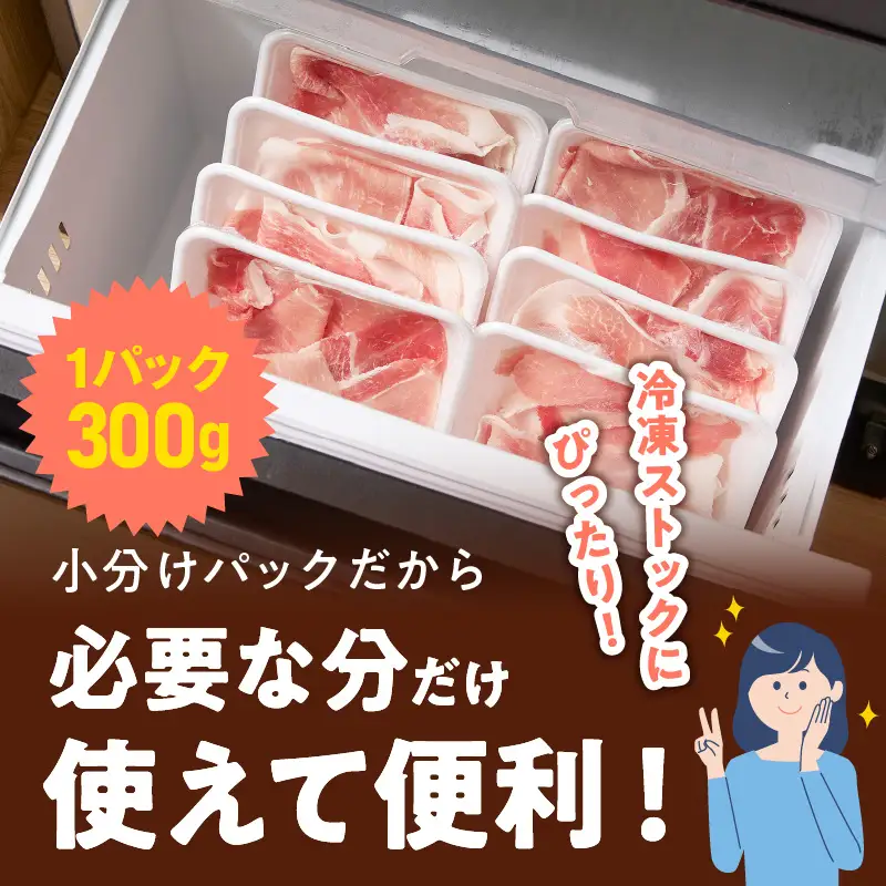 国産豚肉 切り落とし 2.4kg