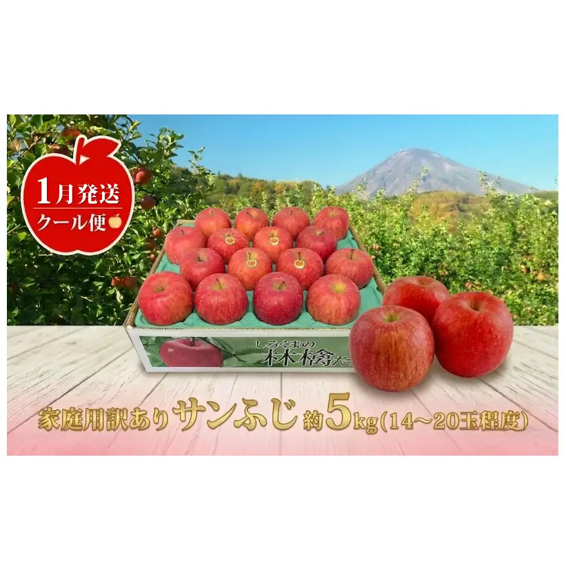 【1月発送】白熊 訳あり家庭用 サンふじ 約5kg 糖度13度【青森りんご 果物 フルーツ 食後 デザート シャキシャキ ジューシー りんごの王様 】