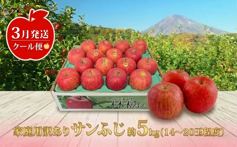 【クール便】3月発送 白熊 訳あり家庭用 サンふじ 約5kg 糖度13度【青森りんご 果物 フルーツ 食後 デザート シャキシャキ ジューシー りんごの王様 】