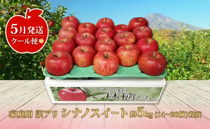 りんごシナノスイート 訳あり家庭用 青森県産 りんご【約5kg】【クール便】