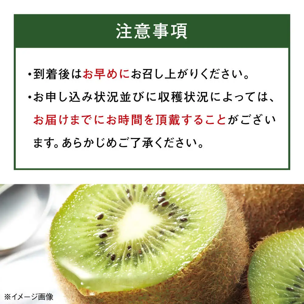 キウイ 訳あり 約2kg [AGBN051] キウイ