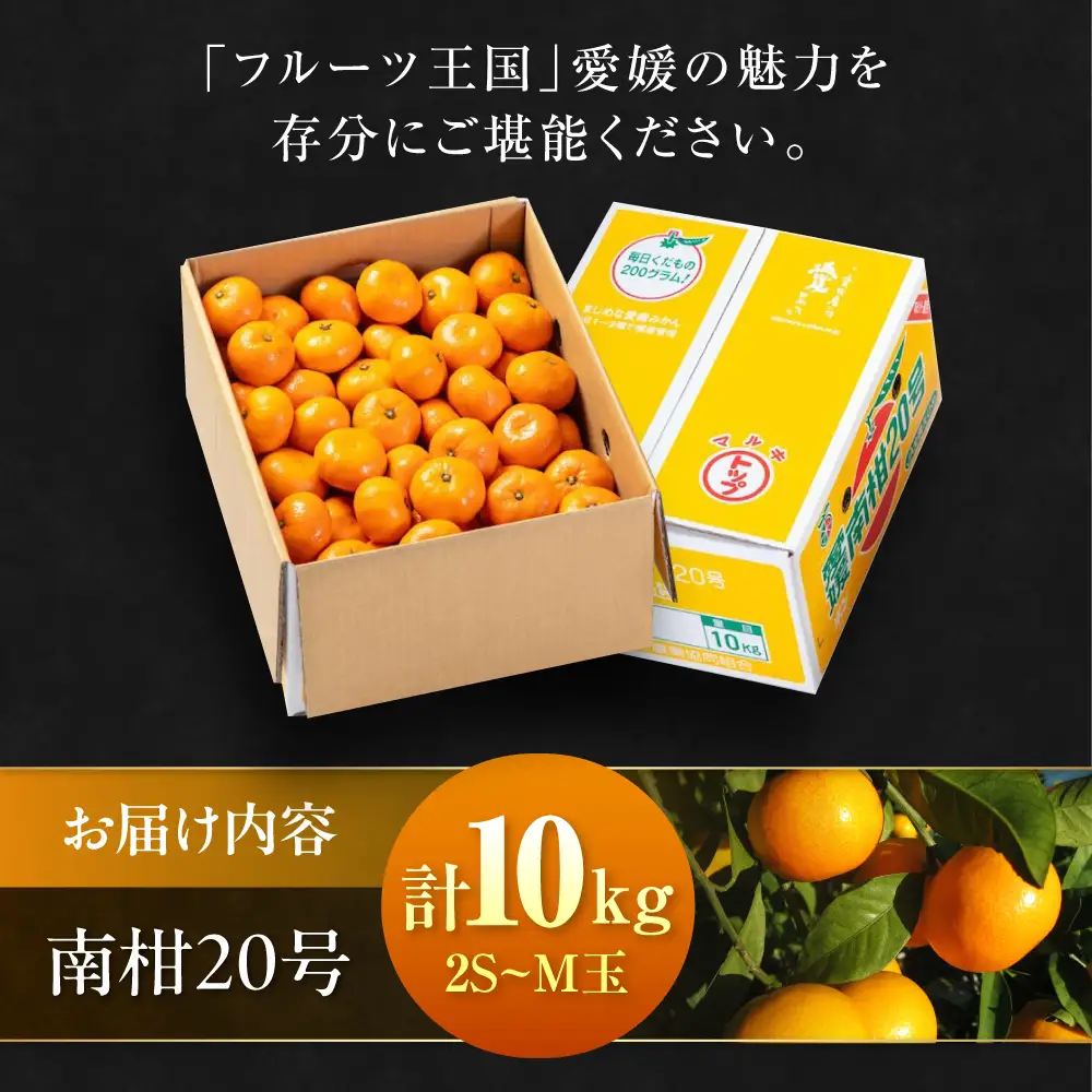 みかん 10kg（南柑20号）みかん[AGAO007] | 愛媛県大洲市 | ふるさと