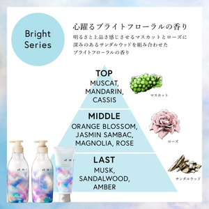 【美容】プラストゥモロー ブライト 3品 美容 シャンプー 