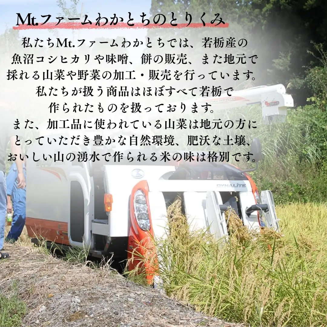 杵つき手のし餅「わかとちのもち」食べ比べ 白もち＆黒米もち 500g×2個 Mt.ファームわかとち | 新潟県 小千谷市 お正月