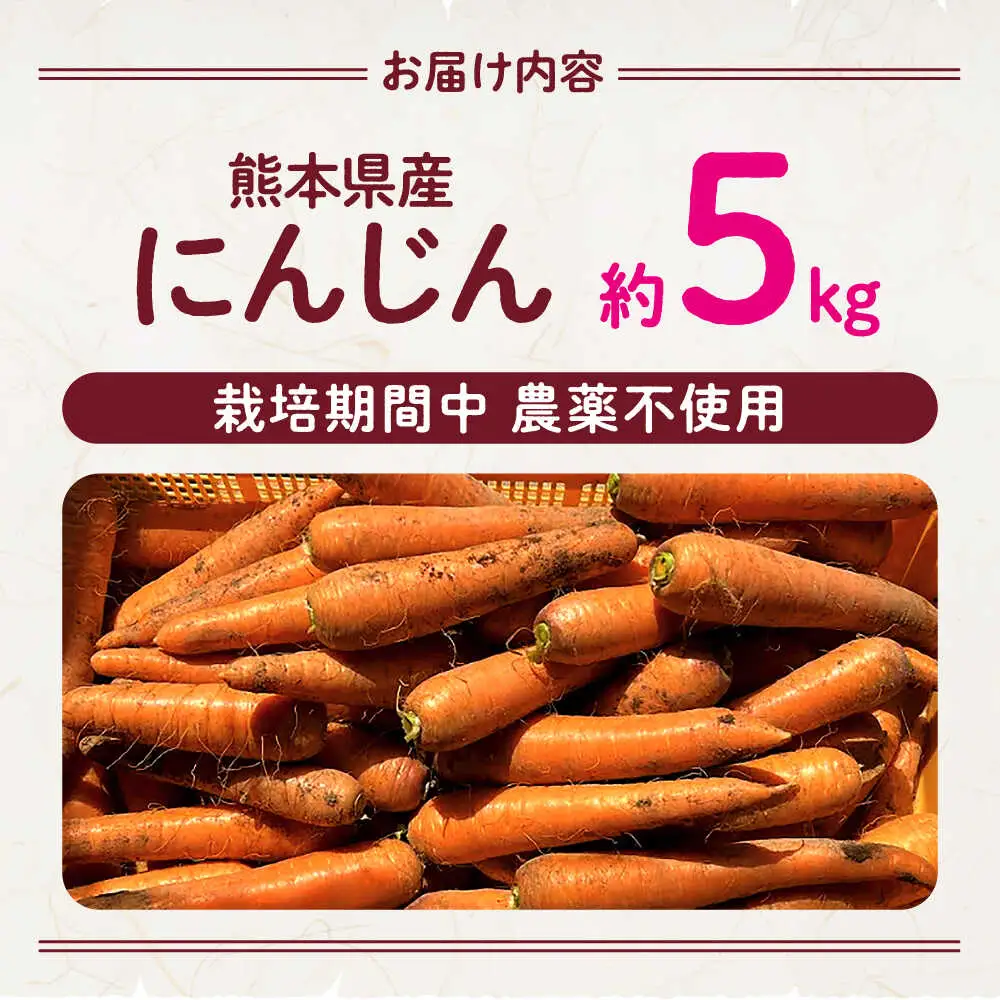 【先行予約】にんじん 約5kg 天日塩＆発酵土壌で作ったこだわりの人参 【株式会社 夢アグリ】[ZCL019]