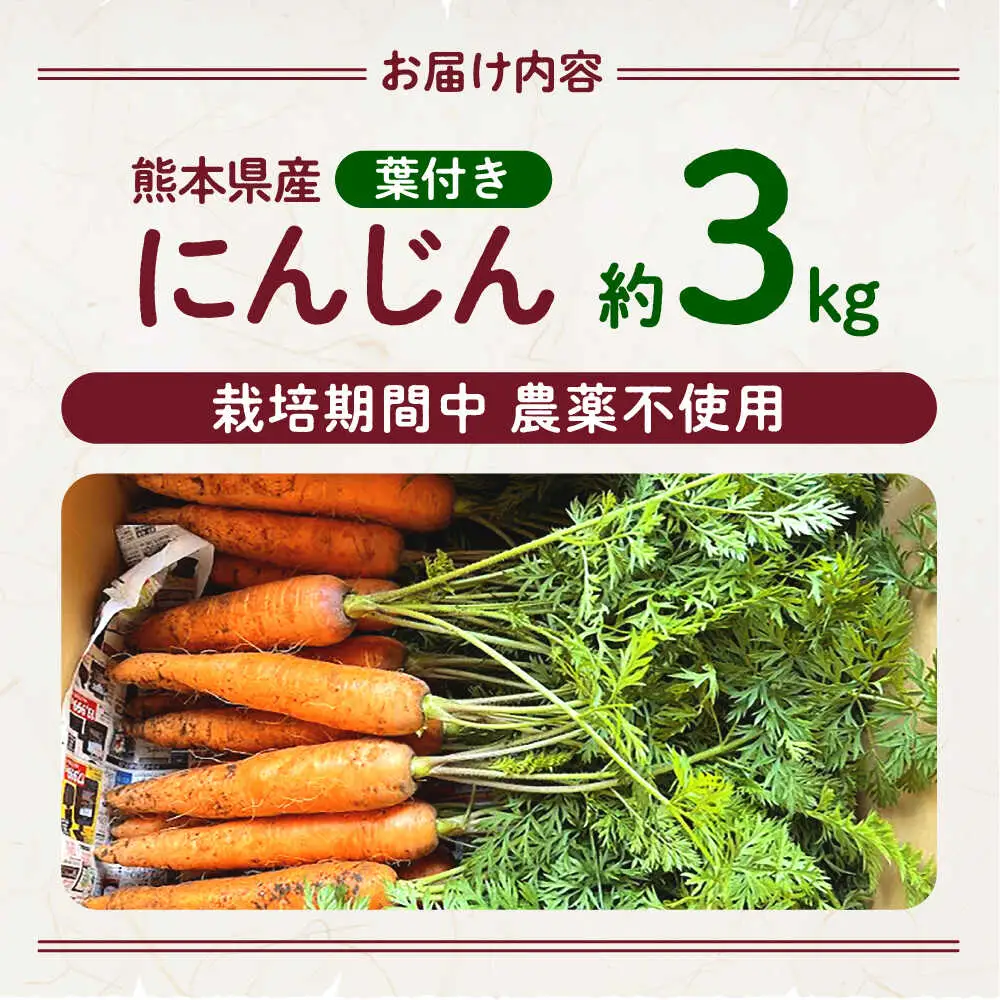 【先行予約】葉付きにんじん 約3kg　天日塩＆発酵土壌で作ったこだわりの人参 【株式会社 夢アグリ】[ZCL020]