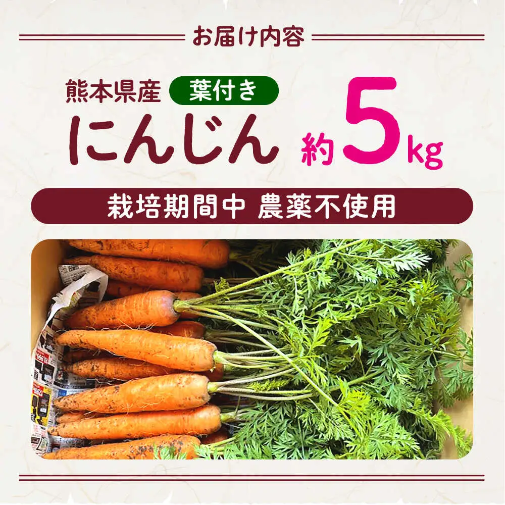【先行予約】葉付きにんじん 約5kg　天日塩＆発酵土壌で作ったこだわりの人参 【株式会社 夢アグリ】[ZCL021]