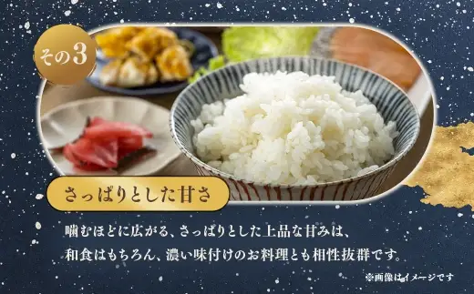 岡山県産にじのきらめき10㎏（5㎏×2袋）【2026年8月下旬迄発送予定】米 お米 精米 国産 にじのきらめき 岡山県 美咲町