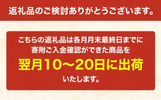ななつぼし 無洗米 600g 無洗米 600グラム 無洗米 北海道 米