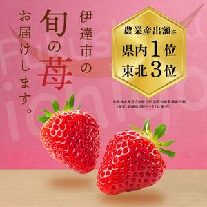 【先行予約】完熟いちご ほしうらら 約600g いちご イチゴ 苺 デザート フルーツ 果物 くだもの 果実 食品 F21C-298