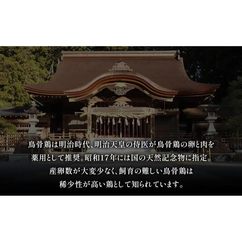 卵 烏骨鶏 6個×2パック 12ヵ月 平飼い 卵