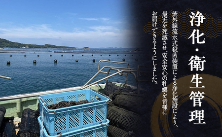 牡蠣 シマビト 殻付き 小豆島産 牡蠣【50個】【生食用】