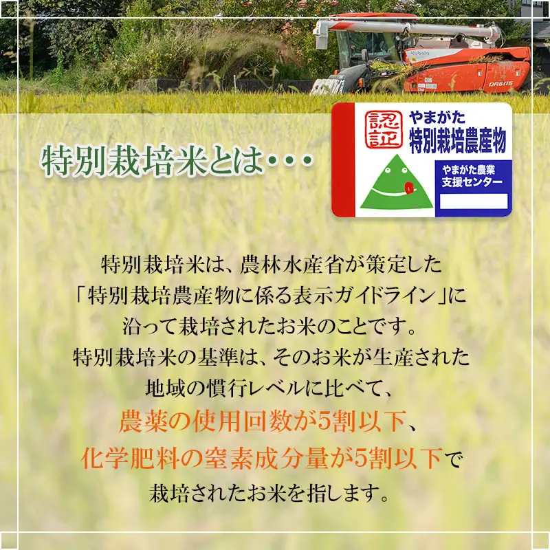 【令和8年産先行予約】特別栽培米つや姫 無洗米 5kg (5kg×1袋)×12ヶ月【定期便】　鶴岡協同ファーム 