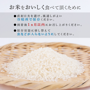 【毎月 3回定期便】白米 5kg 粒すけ 米 精米 新米 ブランド米 定期便