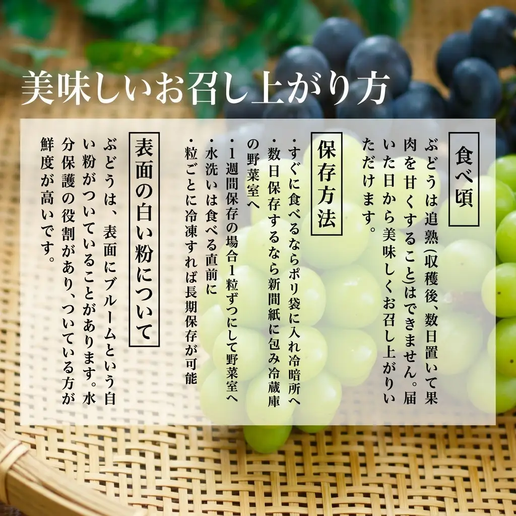 マスカット オブ・アレキサンドリア 化粧箱入り 岡山県産 マスカット【1房 700g以上】【先行予約】