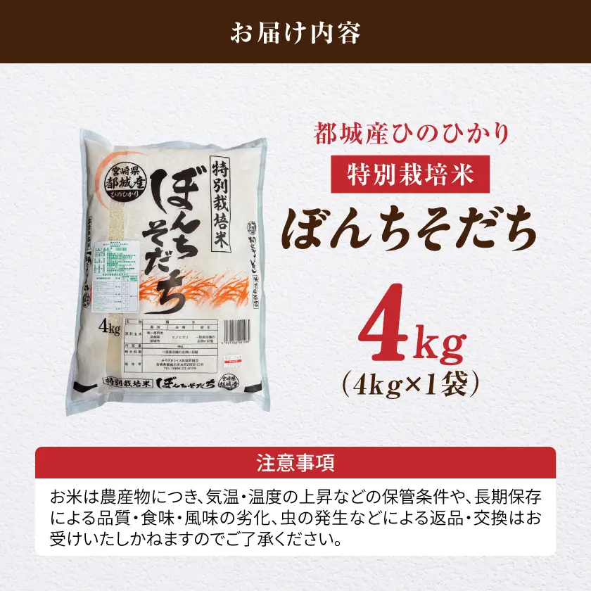 都城産ひのひかり特別栽培米「ぼんちそだち」4kg〔AA-N5-001-4kg〕_(都城市) 都城産 お米 4kg 4kg×1 ひのひかり ぼんちそだち