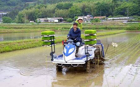 【先行予約】 令和8年産 新米 栃木県足利市産 ゆうだい21 5kg 精米 白米 米 こめ ごはん 食品 栃木県 足利市 F7Z-1810