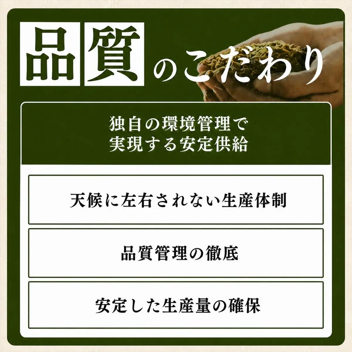 【令和8年12月配送】新米予約 コシヒカリ 5kg コシヒカリ 新潟県