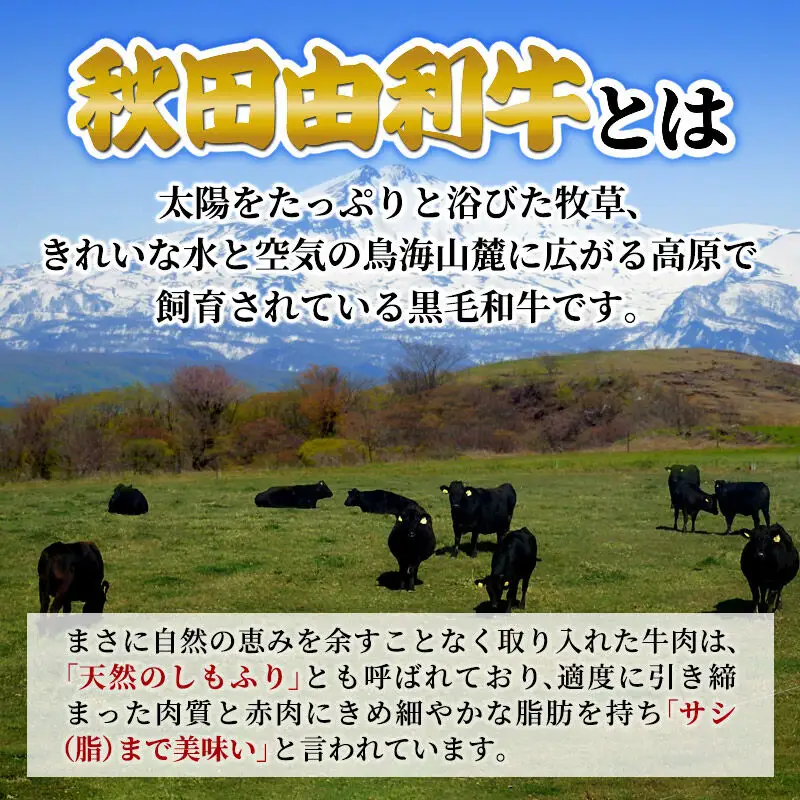 秋田由利牛 国産 みそ漬け 400g