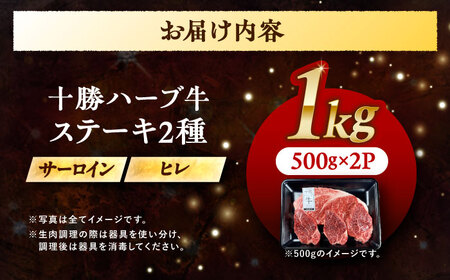 北海道 十勝 ハーブ牛 サーロイン ヒレ ステーキ セット 1kg （500g×2） 《足寄町》【株式会社ノベルズ食品】[BEAQ056]