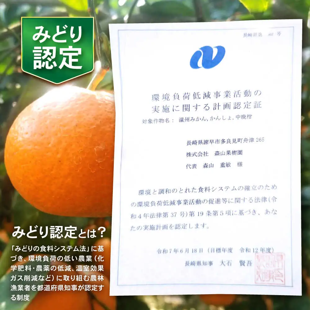 【極実(きわみ)】蜜柑ジュース(720ml×2本) / みかん 100％ ミカン みかんジュース オレンジジュース 柑橘 ドリンク / 諫早市 / 森山果樹園 [AHCO004]