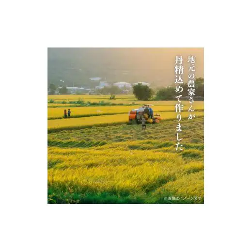愛媛県産にこまる5kg
