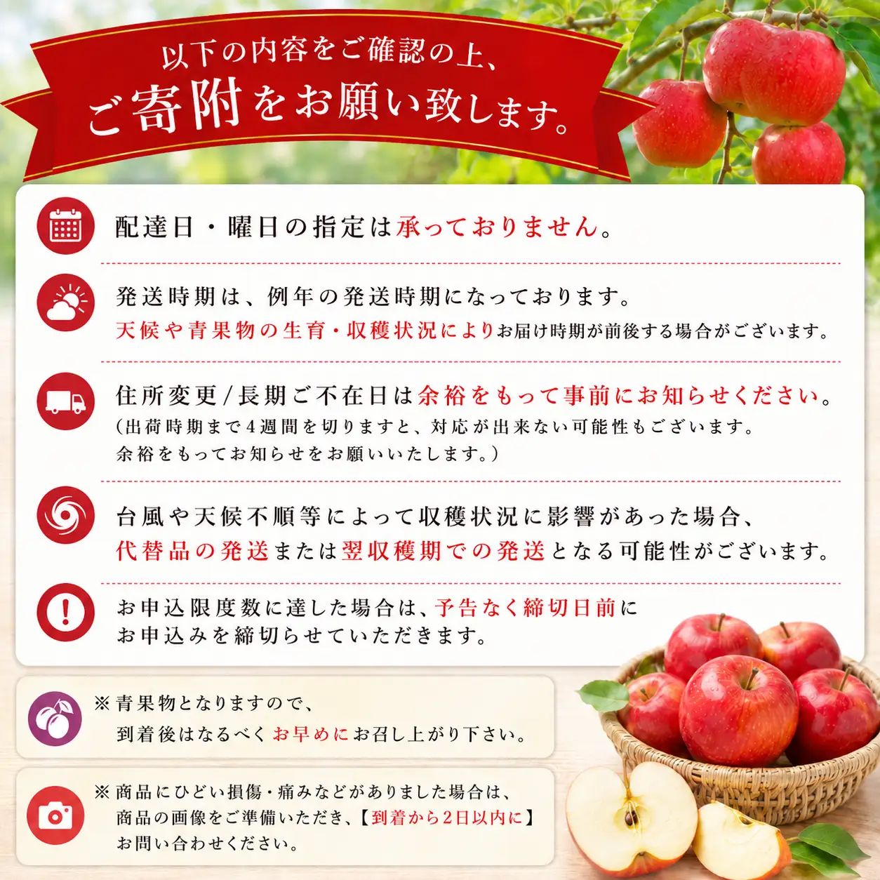 【先行予約】信州産 サンふじ約3kg（8～12玉）《2026年11月中旬頃から発送》